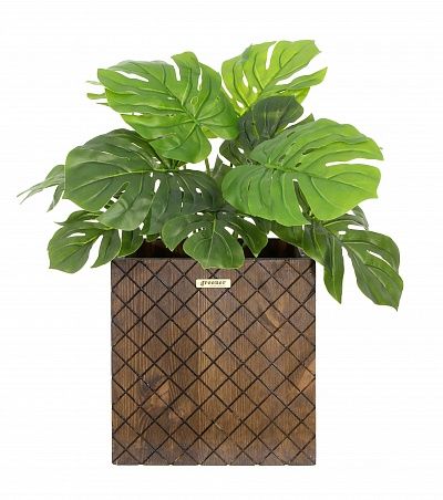 Monstera Moran Duo Cachepot Dekollete Gurido 20 color