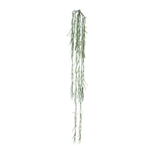 Hoya Linearis L109 cm gray-green