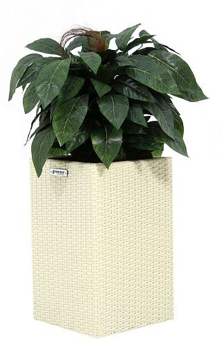 Croton Lake Cachepot Dekollete Rattan Cube 50