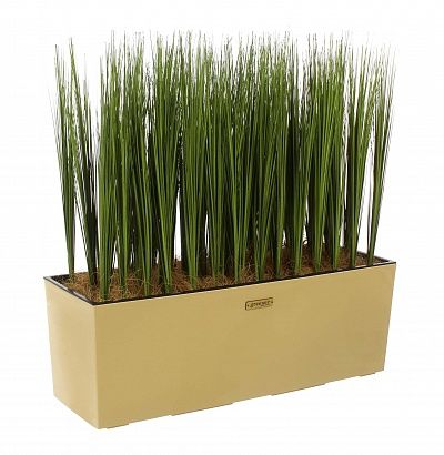 Sedge Harry cachepot Dekollete 19