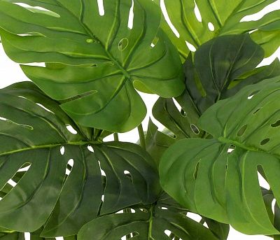 Monstera Moran Duo Cachepot Dekollete Gurido 20 color