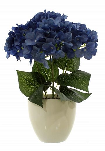 Hydrangea Satie cachepot Dekollete 15