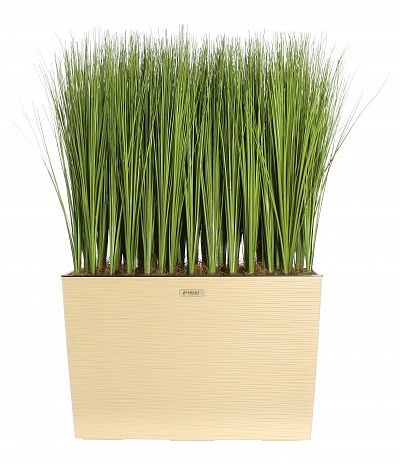 Sedge Angora cachepot Dekollete 36