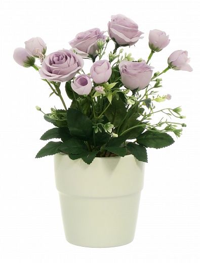 Rose Retro Planter Dekollete 12