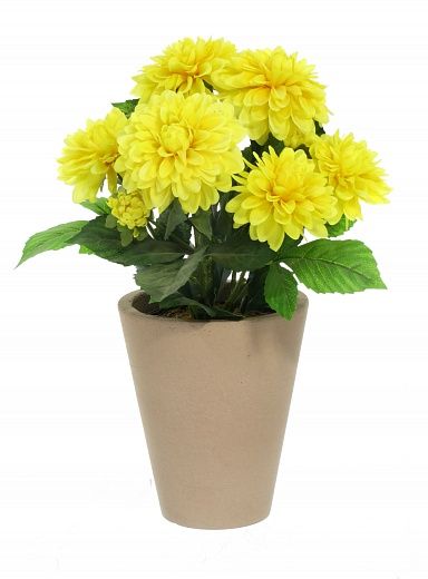 Dahlia Leo cachepot Dekollete Concrete 17