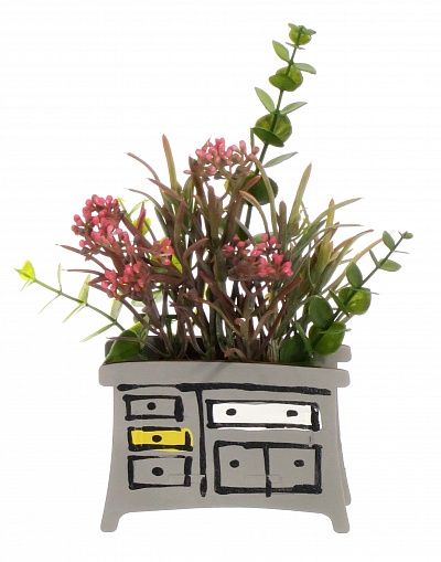 Children's dresser succulent mix available to order 6 pieces