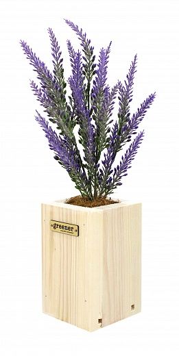 Lavender Sirt cachepot Dekollete Wood