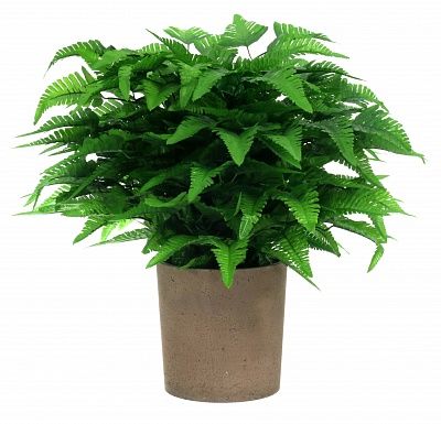 Fern Barvi cachepot Dekollete Concrete 19