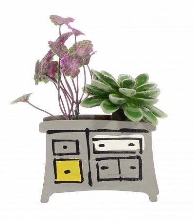 Children's dresser succulent mix available to order 6 pieces