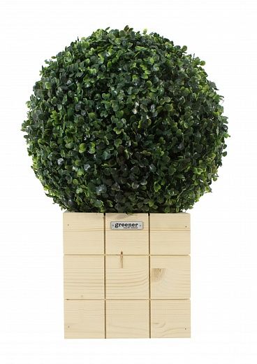 Orb Boxwood Camos Cachepot Dekollete Chess 20