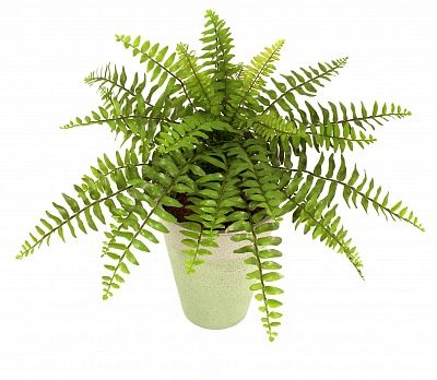 Fern Maun cachepot Dekollete Concrete 17