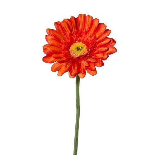 Gerbera H63 cm orange