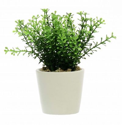 Heather Frisco Dekollete Piccolo 8 planter