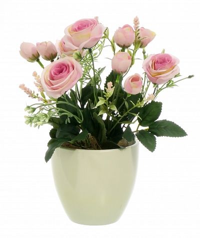 Rose Retro Planter Dekollete 12