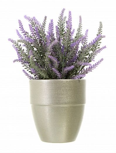 Lavender Sirt Cachepot Dekollete Silver Bort 12