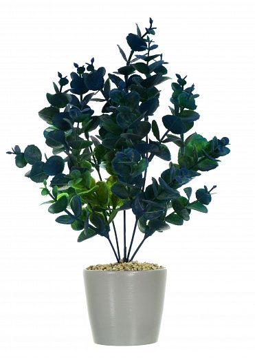 Eucalyptus Lozanno cachepot Dekollete Piccolo 8