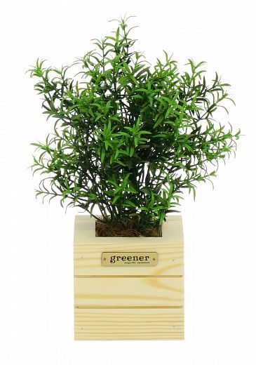 Rosemary Ferko Dekollete Cube 10 planter