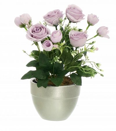 Rose Retro Planter Dekollete 12