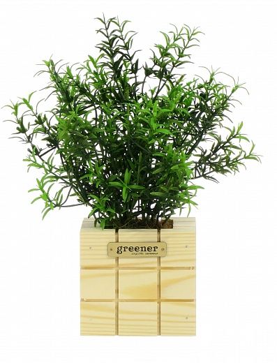 Rosemary Ferko Dekollete Cube 10 planter