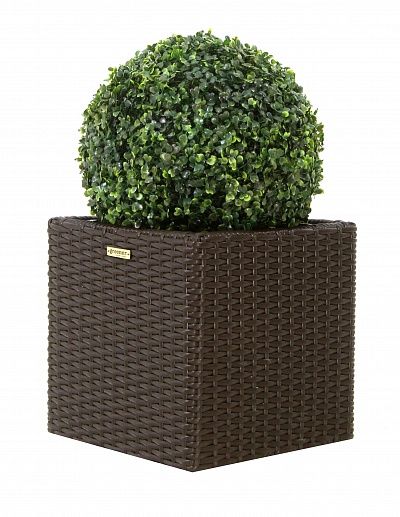 Orb Boxwood Camos in Dekollete Rattan Cube 32