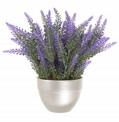 Lavender Sirt Cachepot Dekollete Silver Mini