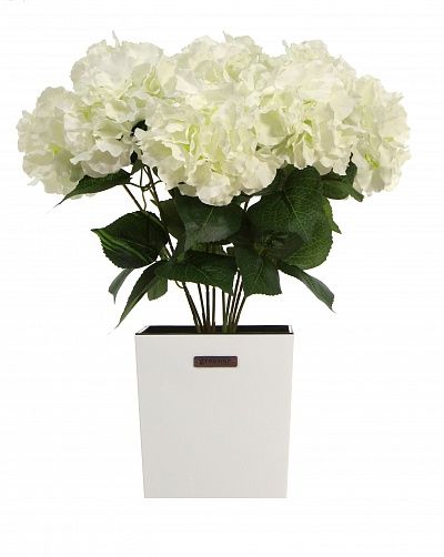 Hydrangea Retro Reilly Cachepot Dekollete Clasico 19