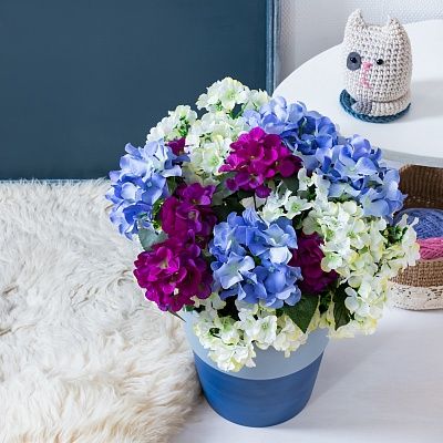 Hydrangea Rona cachepot Dekollete Bort 22