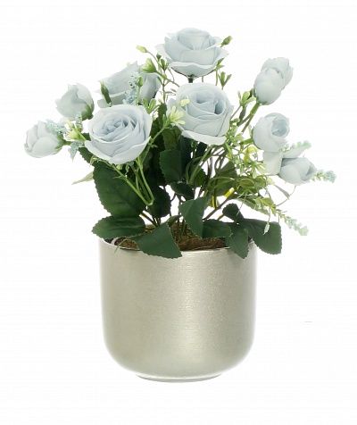 Rose Retro Planter Dekollete 12