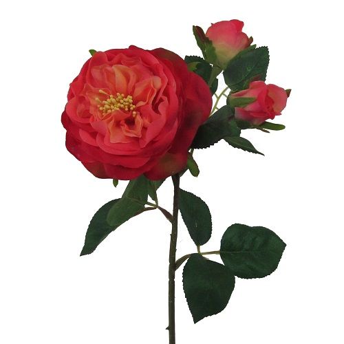 Garden Rose H55 cm coral