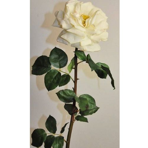 Rose H142 cm white