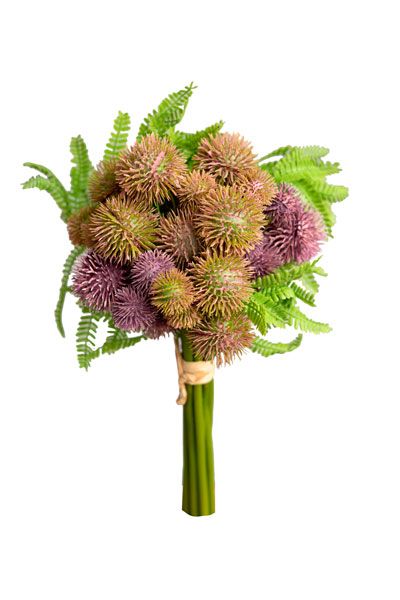 Thistle (yellow)