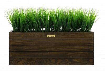 Phyto-stand Frontera 50*20 sedge Bani