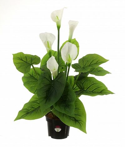 Calla Fevron cachepot