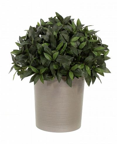 Laurel Corum Cachepot Dekollete Clasico 30 Eco