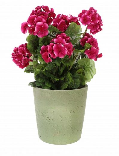 Geranium Rizado cachepot Dekollete Concrete 17