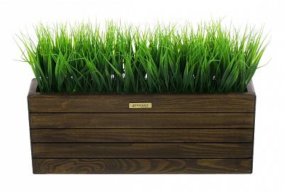 Phyto-stand Frontera 50*20 sedge Bani