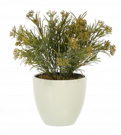 Veresque Migo planter Dekollete 12