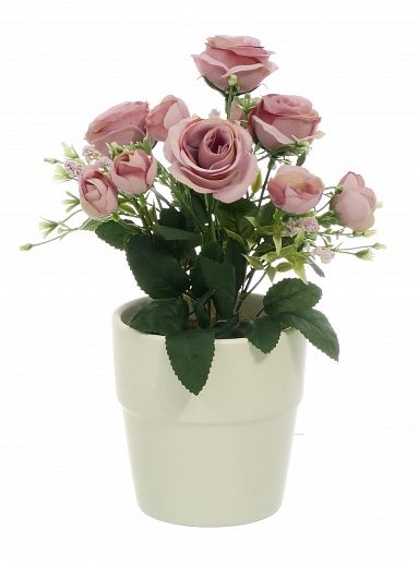 Rose Retro Planter Dekollete 12