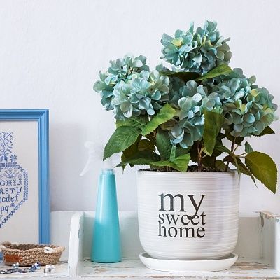 Hydrangea Retro Lazy Cachepot Dekollete