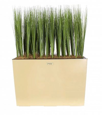 Sedge Harry cachepot Dekollete 36