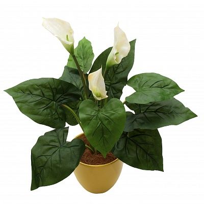 Calla Irby Cachepot Dekollete