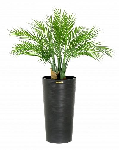 Palm Pichino Fitta Cachepot Dekollete Serso 46