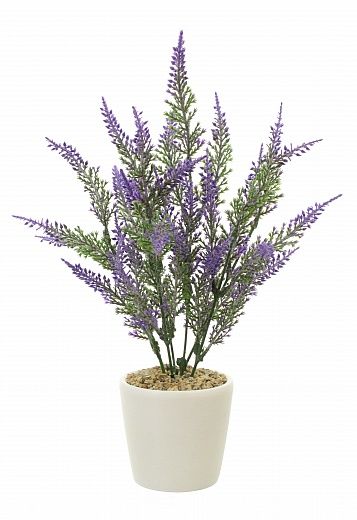 Lavender Sirt cachepot Dekollete Piccolo 8