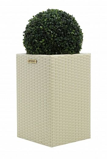 Boxwood Ball Camos Cachepot Dekollete Rattan Cube 50