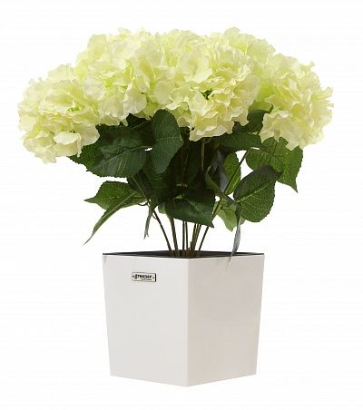 Hydrangea Retro Reilly Cachepot Dekollete Clasico 19