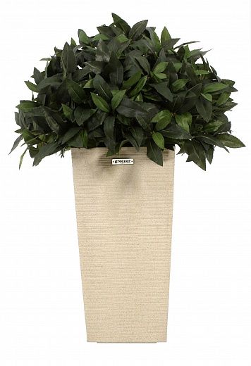 Laurel Corum Cachepot Dekollete Kuno 46 Eco