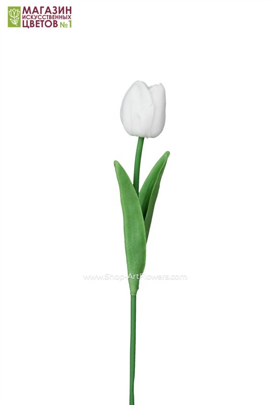 Closed tulip (white)