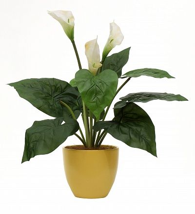 Calla Irby Cachepot Dekollete