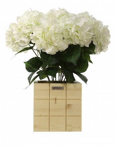 Hydrangea Retro Reilly Cachepot Dekollete Chess 20