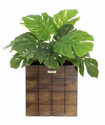 Monstera Moran Duo cachepot Dekollete Chess 20 color